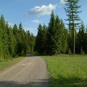 Owl Creek Road