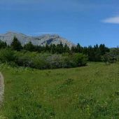 Boone & Crockett Ranch Road