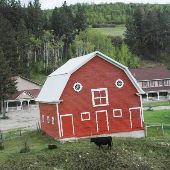 Bold J Ranch [archival]