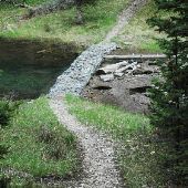 Crystal Lake Forest Trail