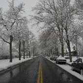 Rodney Street