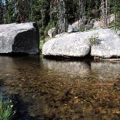 Lolo Creek