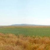 Five Mile Creek Road