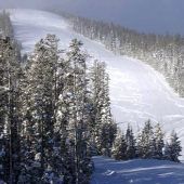 Showdown Ski Area