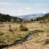 Alder Gulch