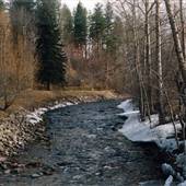 Greenough Park