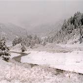 Rarus and Western Railroad
