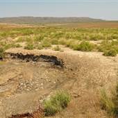 Taylor Ranch