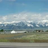 Jackrabbit Road
