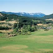 G Bar M Ranch