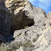Lime Spur