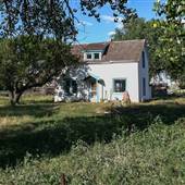 First Raise Ranch