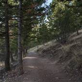 Mount Helena