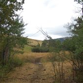 Webber Ranch