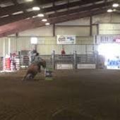 Millers Horse Palace