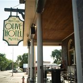 The Olive Hotel