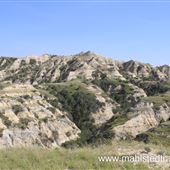 Mahlstedt Ranch
