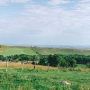 Gabrian Ranch