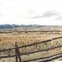 Grant Kohrs Ranch