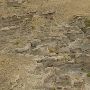 Rock City