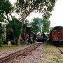 Nevada City Rail