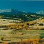 Mule Ranch