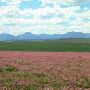 Rocky Mountain Front