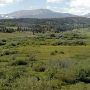 Mule Ranch