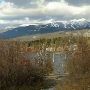 Whitefish Lake