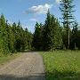 Owl Creek Road
