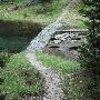 Crystal Lake Forest Trail