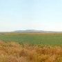 Five Mile Creek Road
