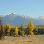 Fall Colors