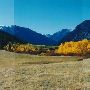 Fall Colors