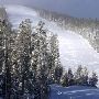 Showdown Ski Area