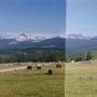 Mule Ranch