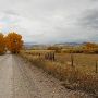 Fall Colors
