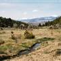 Alder Gulch