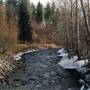 Greenough Park