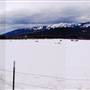 Whitefish Snowfield
