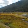 Gallatin River - Big Sky