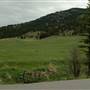 Iddle Ranch