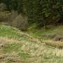 Iddle Ranch