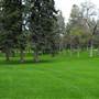 Lindley Park & Cemetery