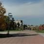 Montana State University