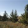 Ridgeway Property