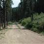 Wineglass Mountain Roads