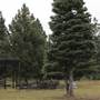 Crosscut Mountain Sports Center - (formerly Bohart Ranch)