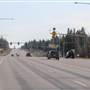 Whitefish
