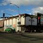 Whitefish